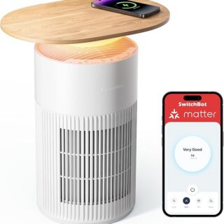 SwitchBot Air Purifier - Item 939