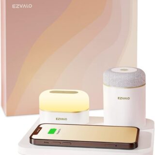 EZVALO Charger Station - Item 2395