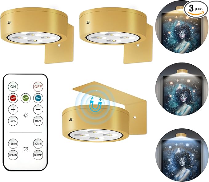 Picture Light Set - Item 2219